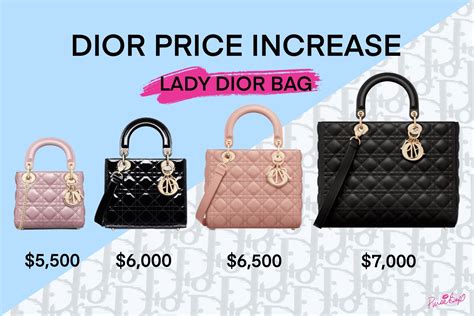 lady dior france price|lady dior euro price.